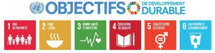 Quelques objectifs de développement durable de l’ONU