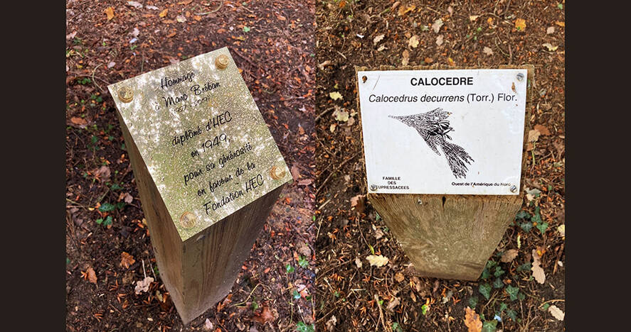 © HEC Paris - Hommage à Marc Bréban  - Plaques arbre remarquable