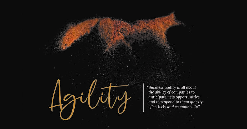 Agility banner (bis)