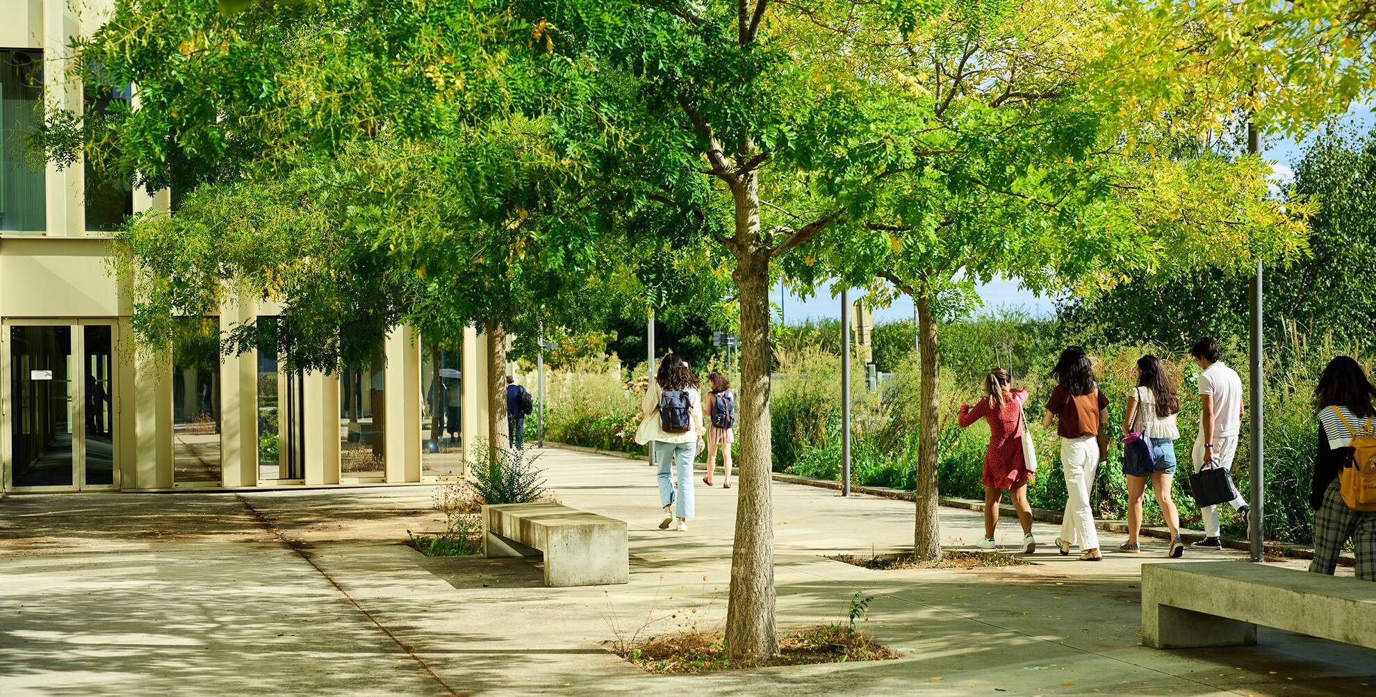 Un groupe de jeunes adultes marche sur un chemin ombragé bordé d'arbres verts et d'une végétation luxuriante sur un campus universitaire. Un bâtiment moderne en arrière-plan a de grandes fenêtre